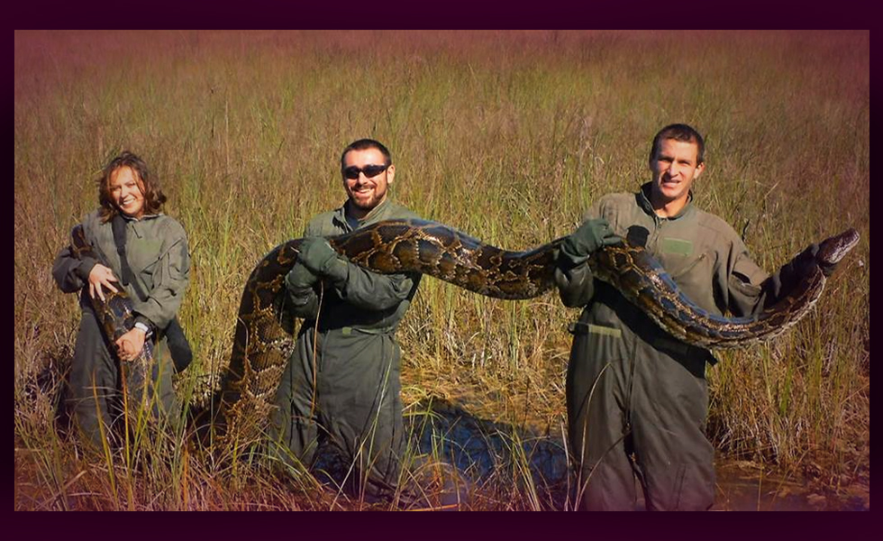 Join the Florida Snake Hunt