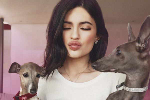 kylie Jenner Puppies