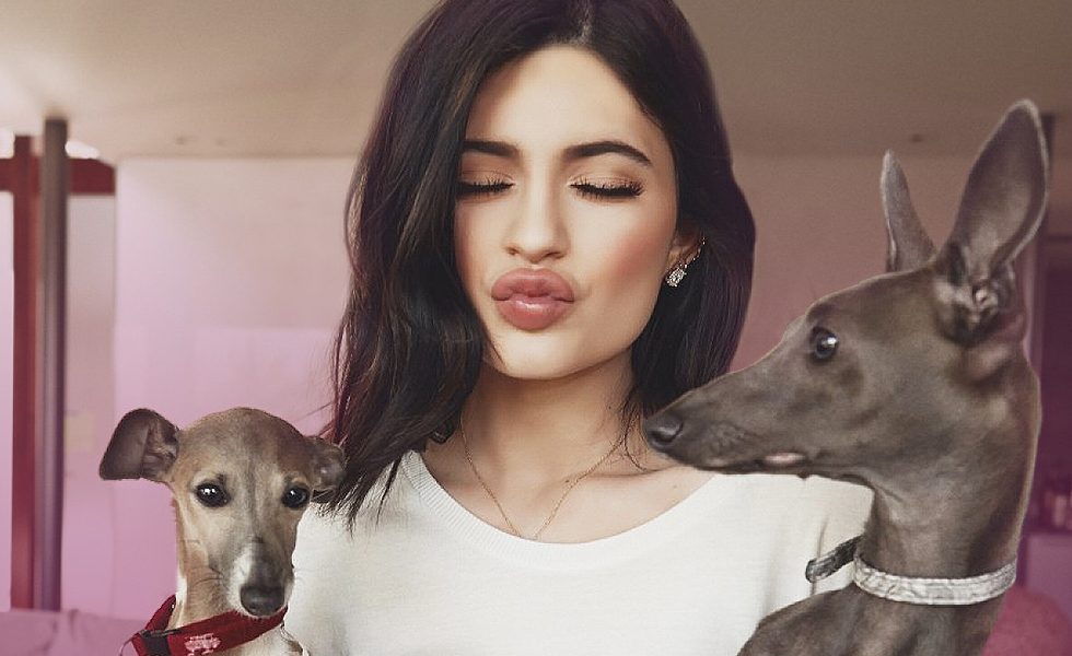 kylie Jenner Puppies