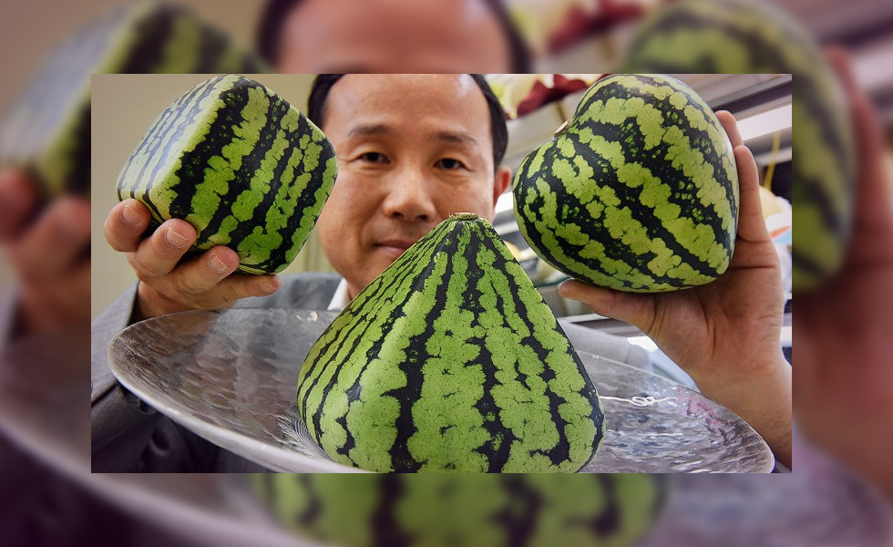 Why does a melon cost $27,000 in Japan?