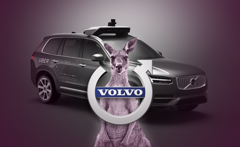 Australia’s Self-Driving Volvo Car Technology Foiled By Kangaroos